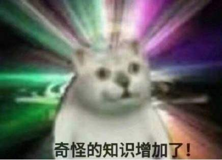 奇怪的知识增加了